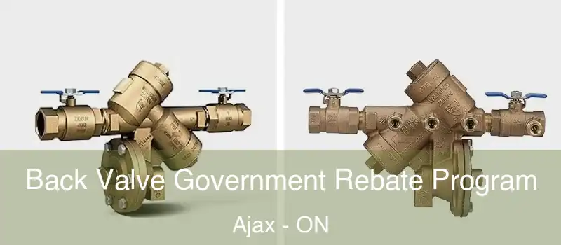  Back Valve Government Rebate Program Ajax - ON