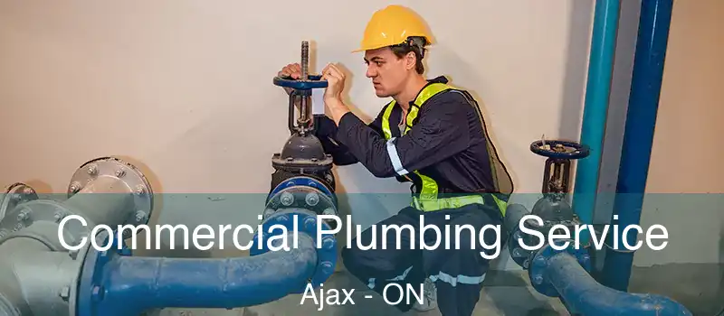  Commercial Plumbing Service Ajax - ON