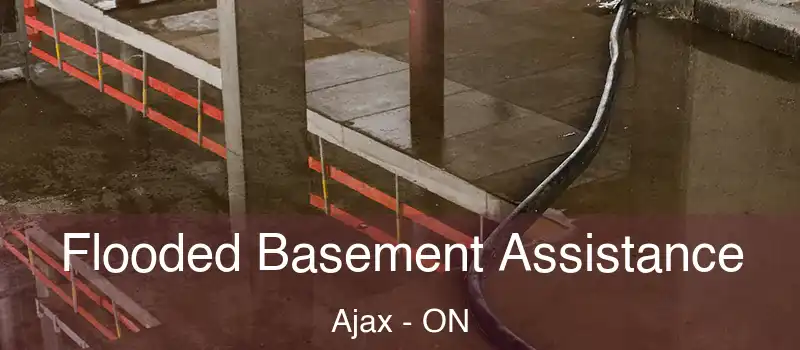Flooded Basement Assistance Ajax - ON