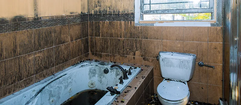 Residential Water Damage Restoration in Ajax, ON