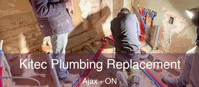 Kitec Plumbing Replacement Ajax - ON