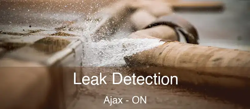  Leak Detection Ajax - ON