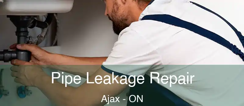 Pipe Leakage Repair Ajax - ON