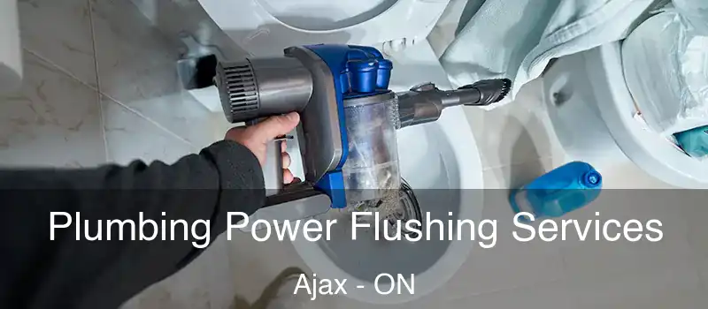 Plumbing Power Flushing Services Ajax - ON