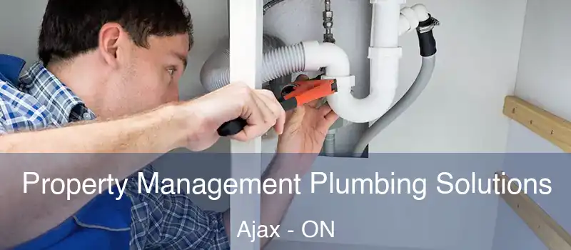 Property Management Plumbing Solutions Ajax - ON