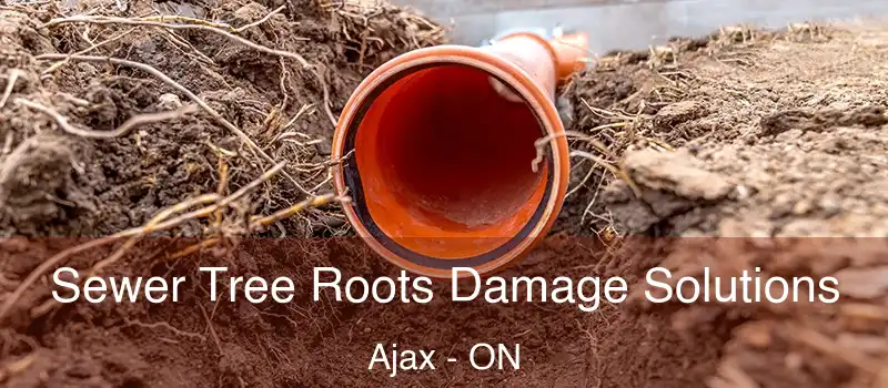  Sewer Tree Roots Damage Solutions Ajax - ON