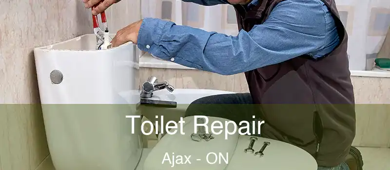 Toilet Repair Ajax - ON