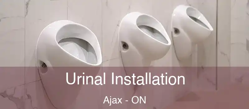  Urinal Installation Ajax - ON