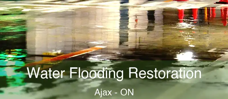 Water Flooding Restoration Ajax - ON