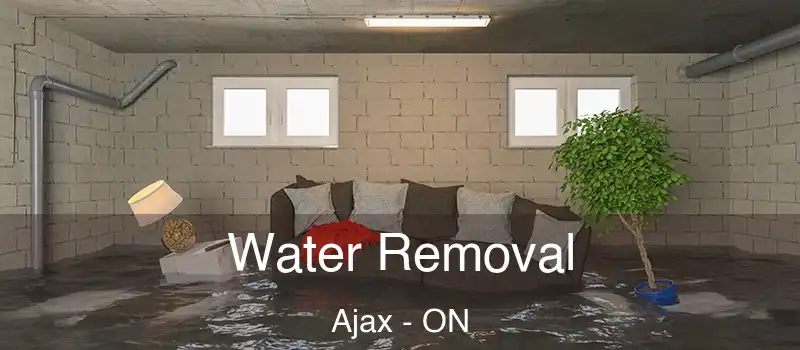 Water Removal Ajax - ON