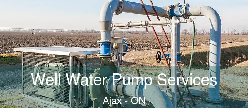  Well Water Pump Services Ajax - ON
